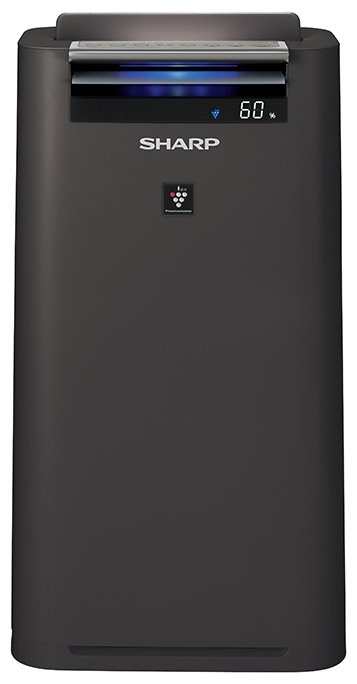 Климатический комплекс Sharp KC-G41 RW/RH угольно-серый