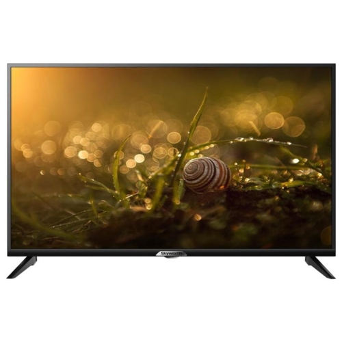 Телевизор Skyworth 24F1000