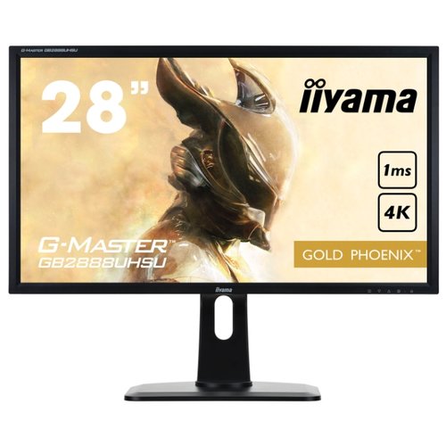 Монитор Iiyama G-Master GB2888UHSU-1