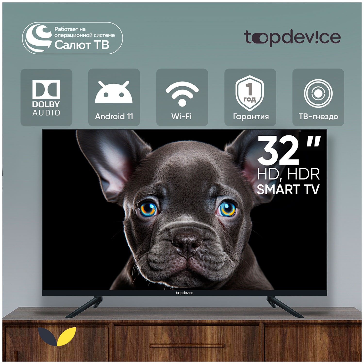 Телевизор Topdevice TDTV32CS08H_BK, черный