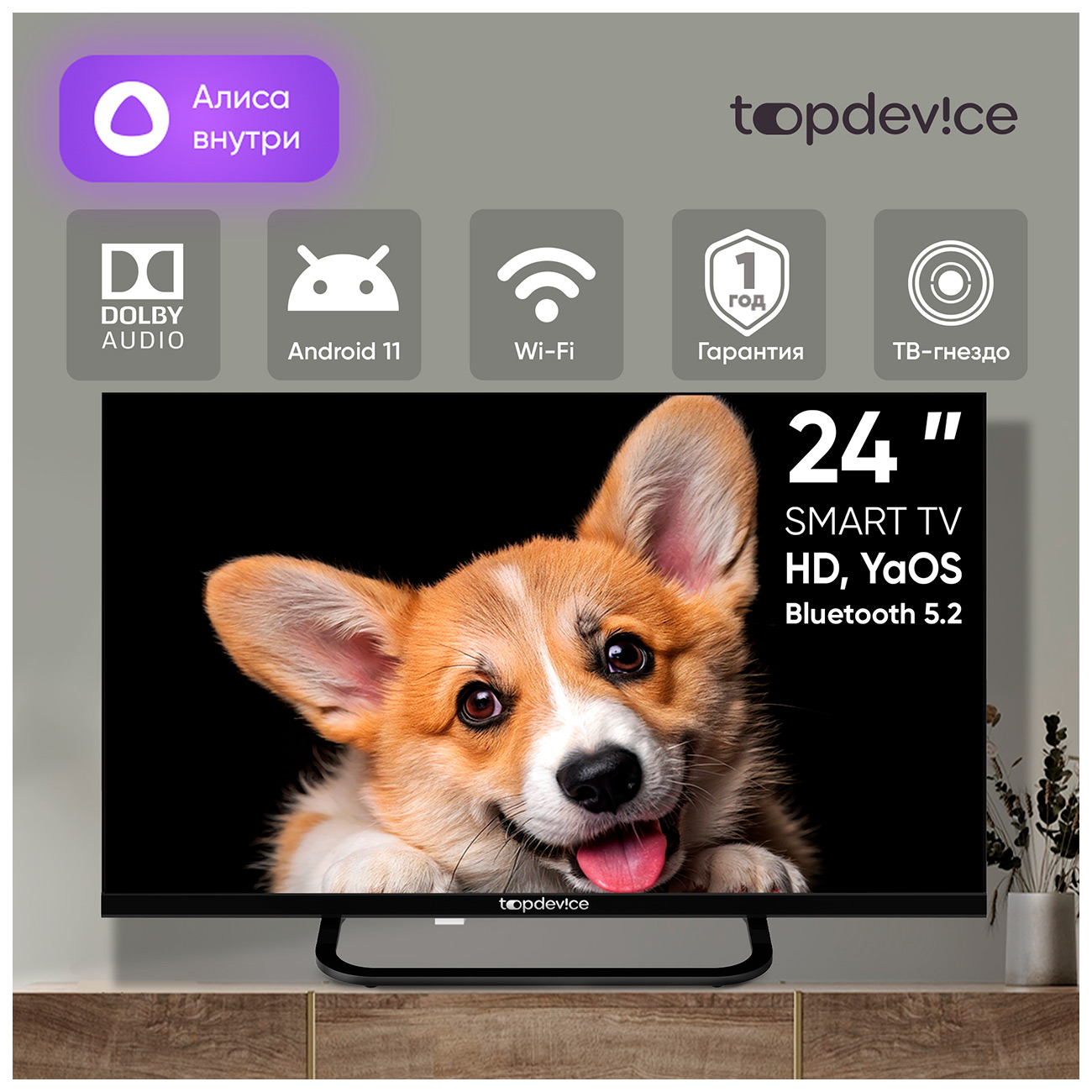 Телевизор Topdevice TDTV24CS03H, черный