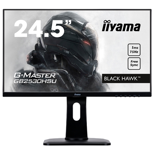 Монитор Iiyama G-Master GB2530HSU-1