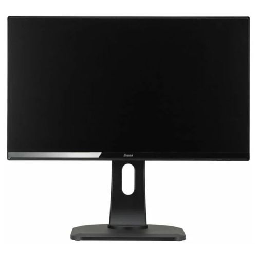 Монитор Iiyama ProLite XUB2390HS-1