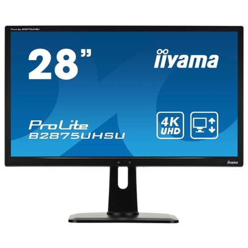 Монитор Iiyama ProLite B2875UHSU-1