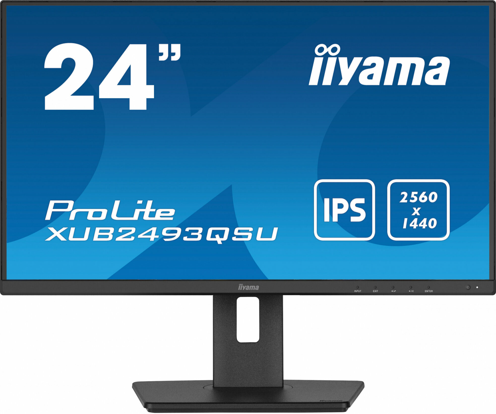 Монитор Iiyama ProLite XUB2493QSU-B5 черный