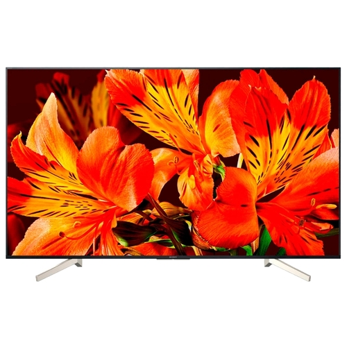 Телевизор Sony KD-55XF8596