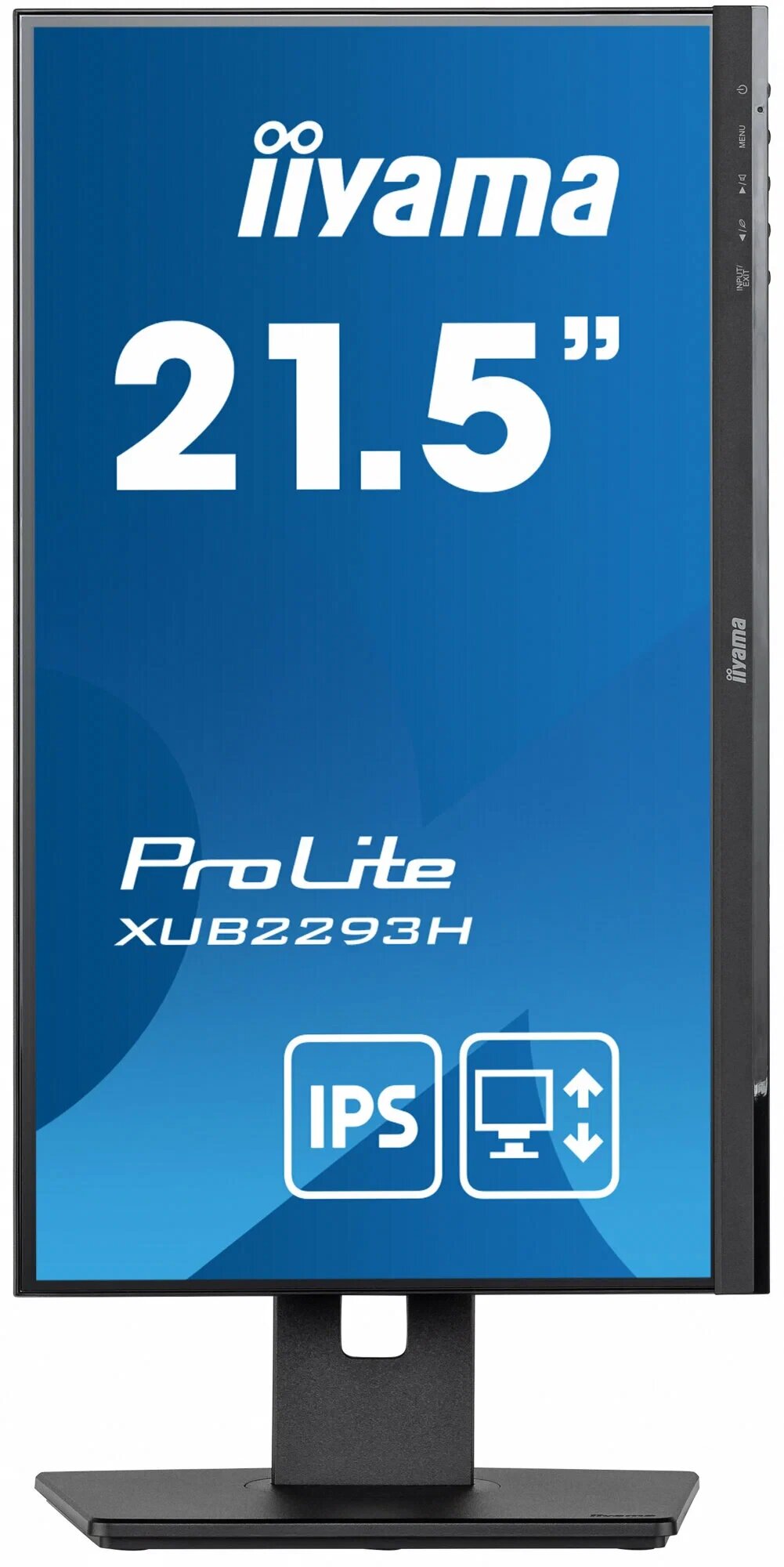 Монитор Iiyama ProLite XUB2293HS-B5 черный