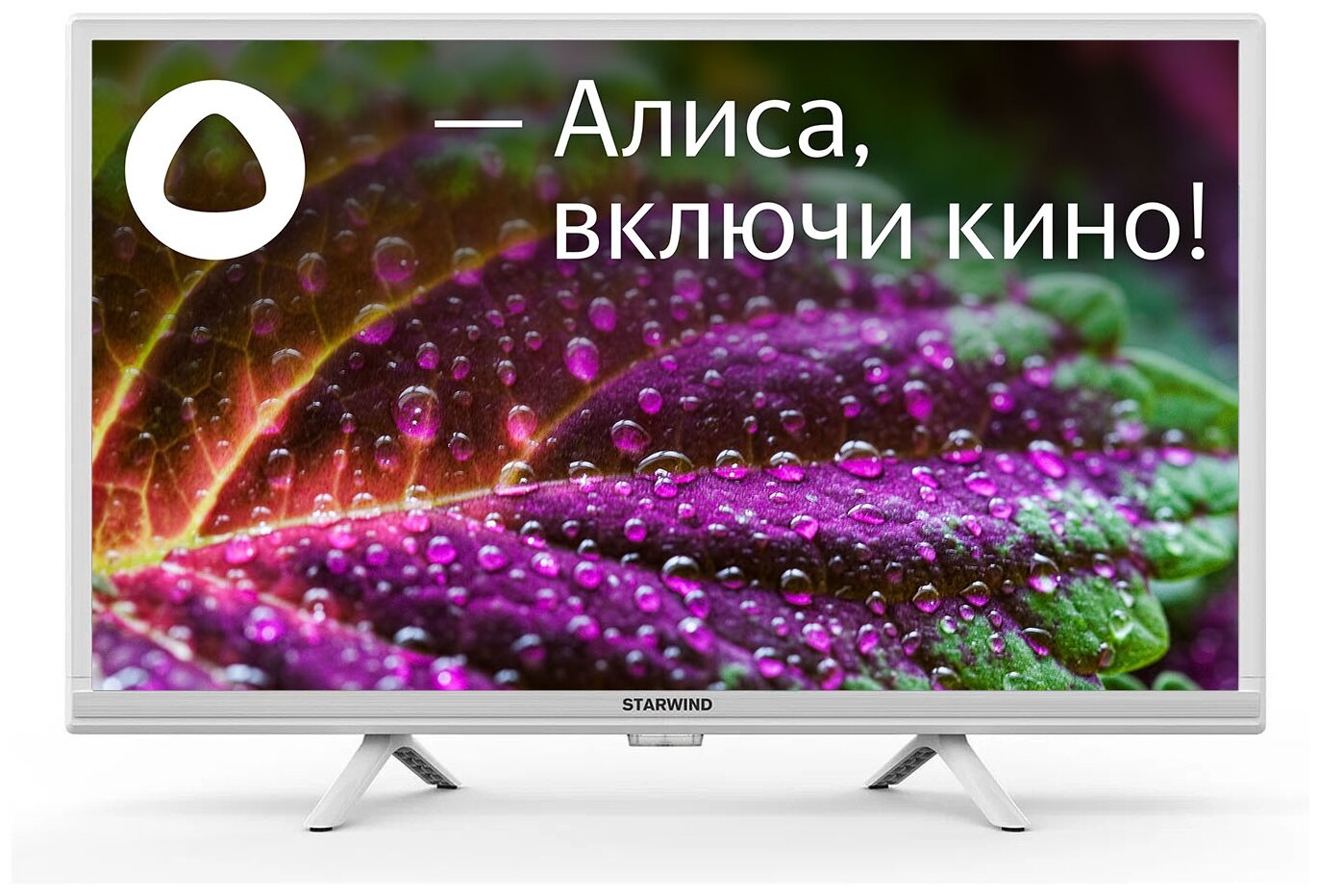 Телевизор STARWIND SW-LED24SG312