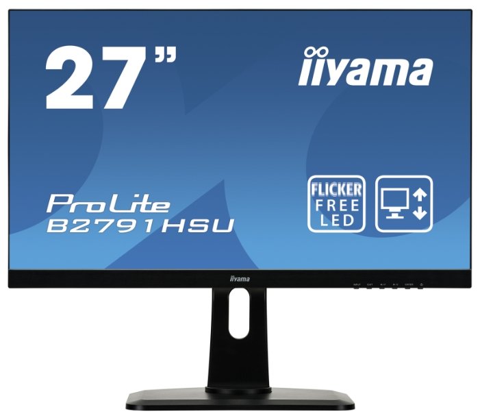 Монитор Iiyama ProLite B2791HSU-1 черный