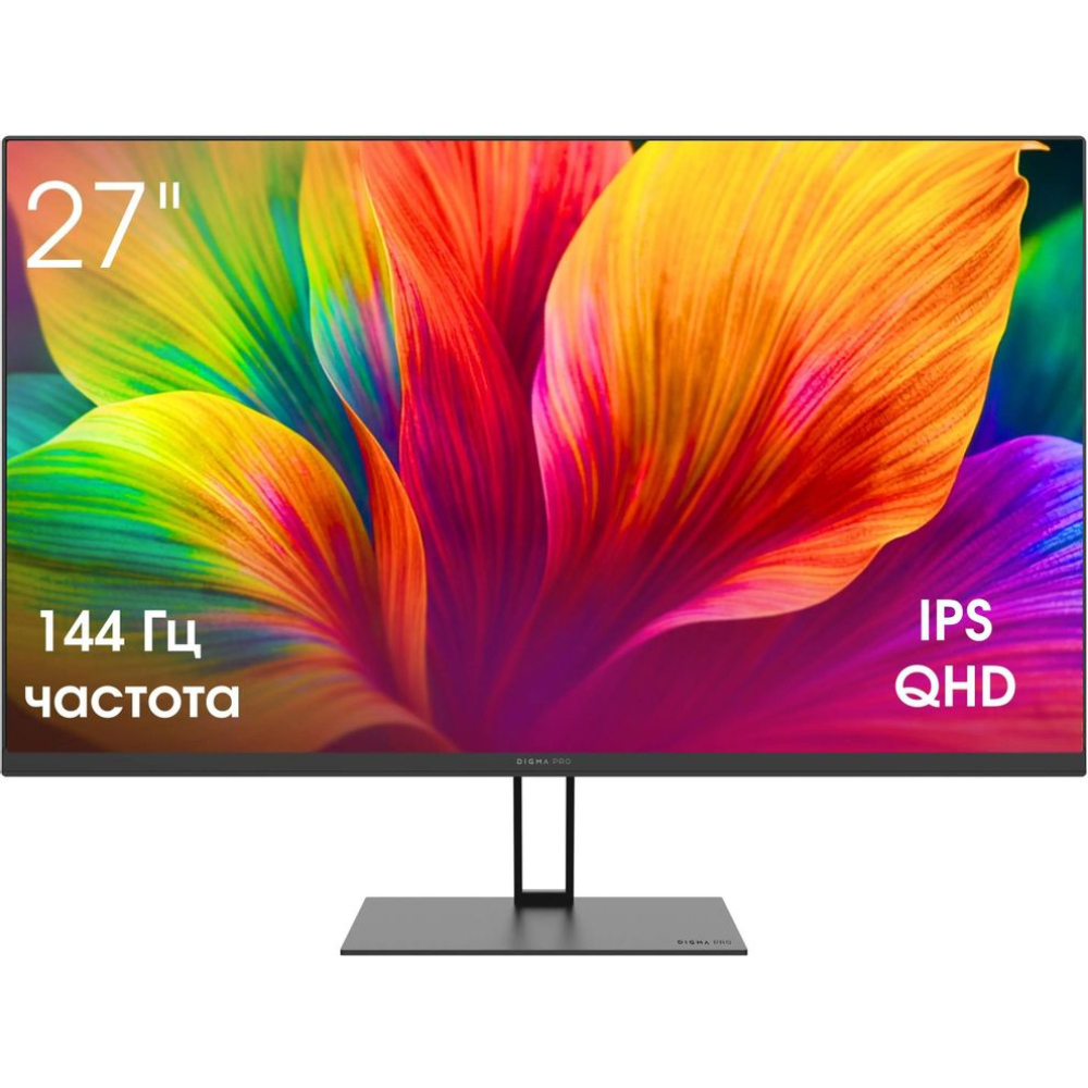 Монитор Digma Pro Motion L, черный