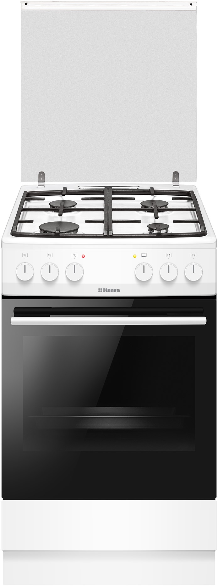 Плита газоэлектрическая Hansa FCMW580254