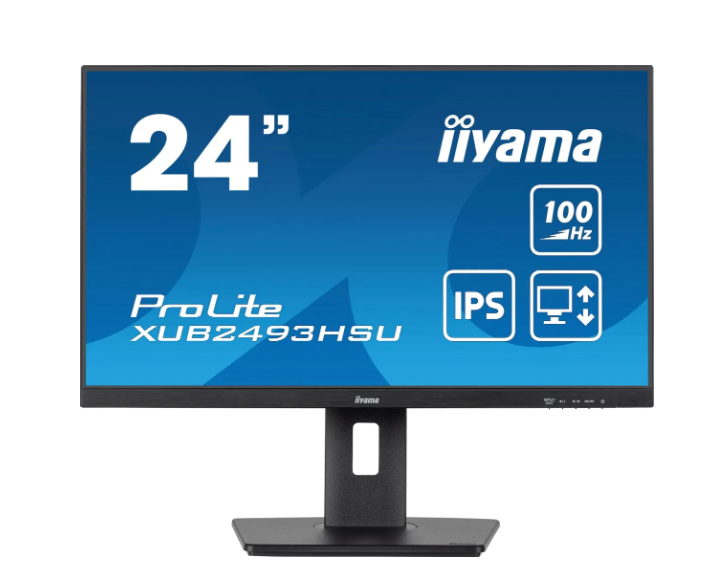 Монитор Iiyama ProLite XUB2493HSU-B6, черный