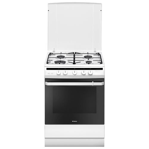 Кухонная плита Hansa FCGW61001