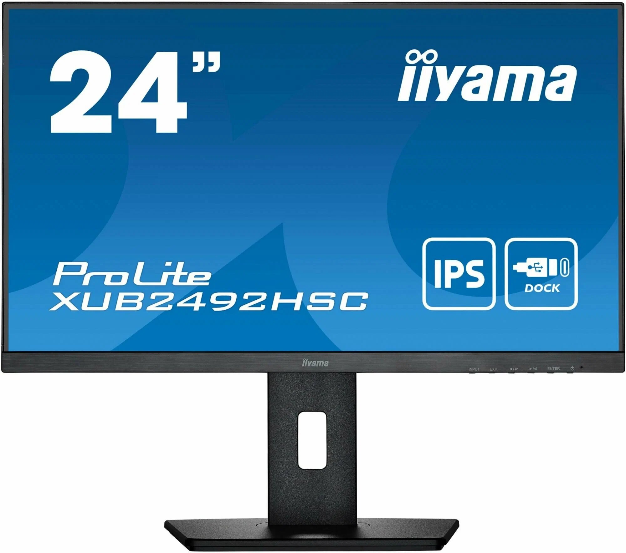 Монитор Iiyama ProLite XUB2492HSC-B5 черный