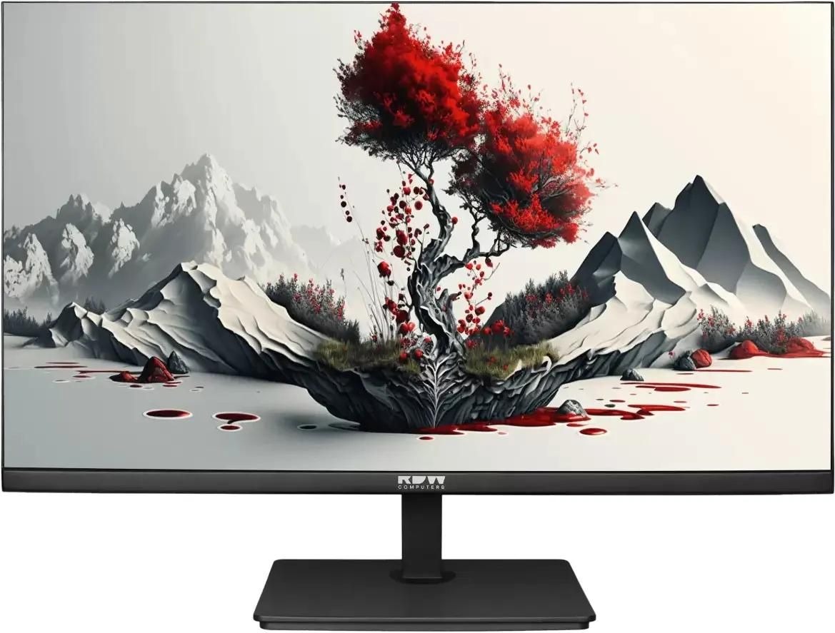 Монитор RDW Computers RDW2401K/Q00B0, черный