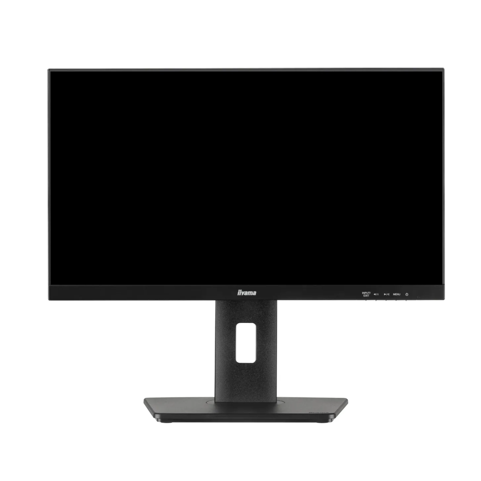 Монитор Iiyama ProLite XUB2293HSU-B6, черный