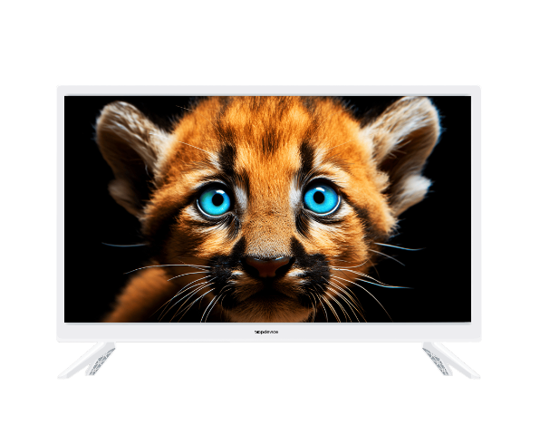 Телевизор Topdevice TDTV24BS02H_WE, белый