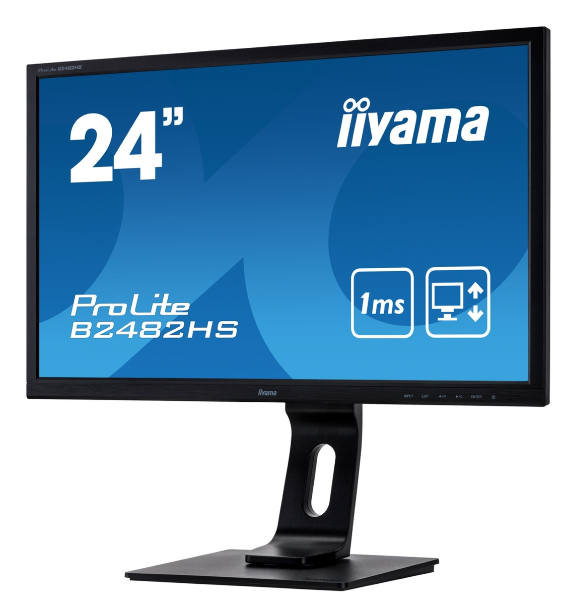 Монитор Iiyama ProLite B2482HS-B5