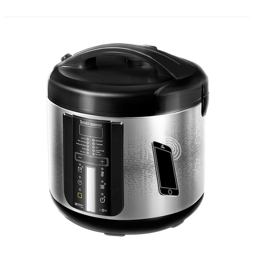 Мультиварка REDMOND SkyCooker M226S
