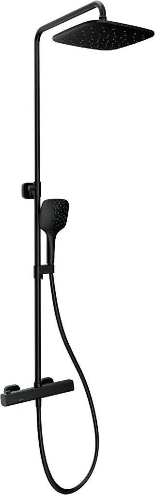 Душевая стойка Ravak 10° Free TD F 091.20/150 арт.X070160, черный матовый