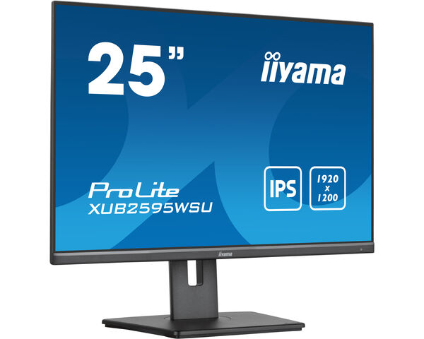 Монитор Iiyama ProLite XUB2595WSU-B5, черный