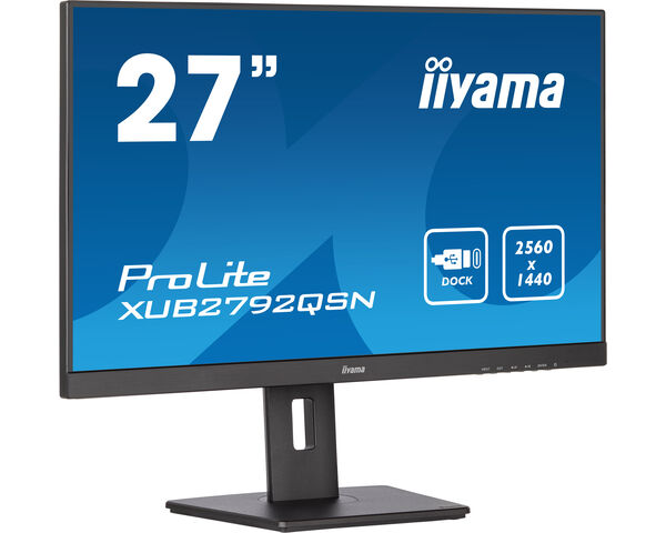 Монитор Iiyama ProLite XUB2792QSN-B5 черный