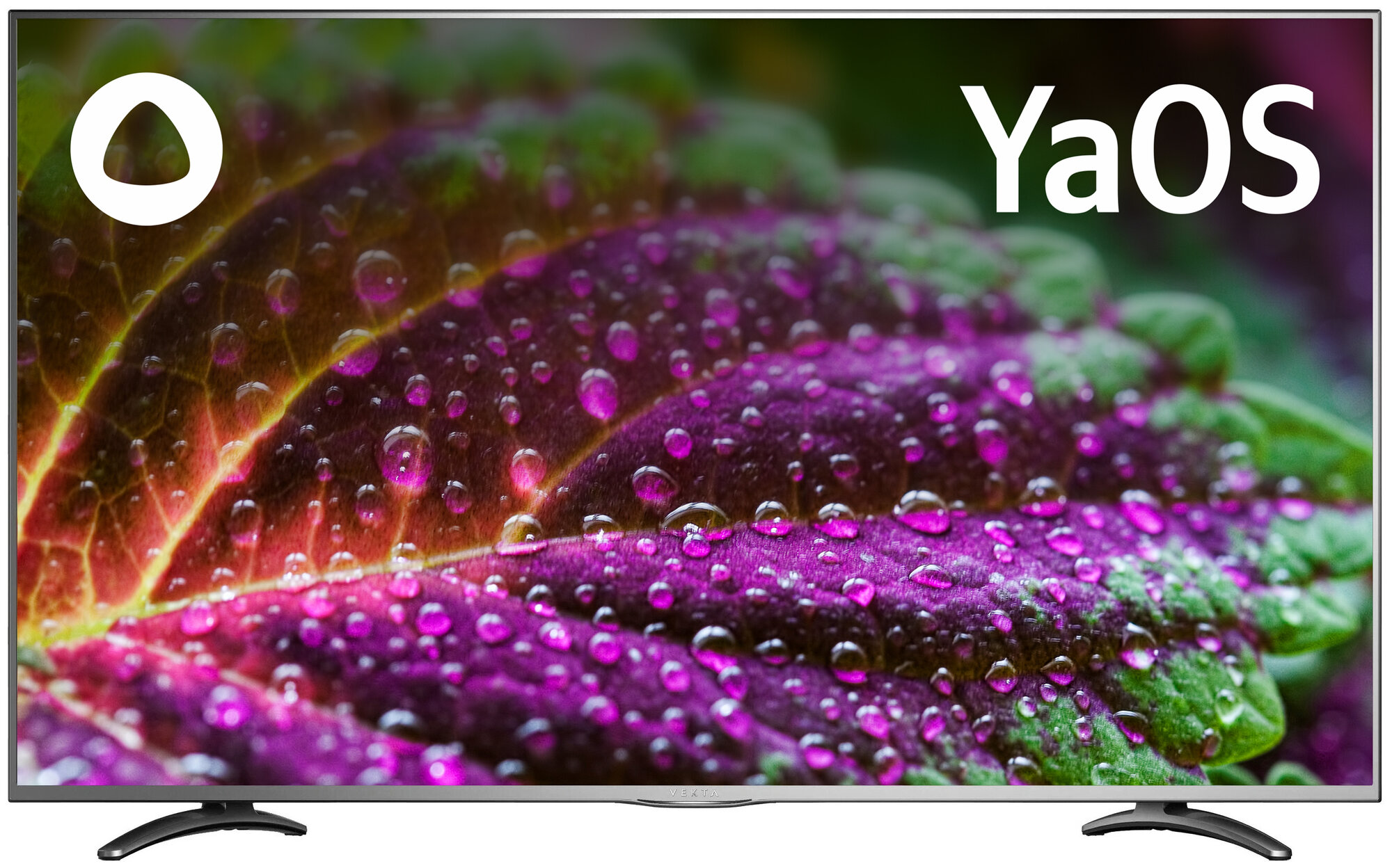 Телевизор VEKTA LD-55SU8921BS, хром