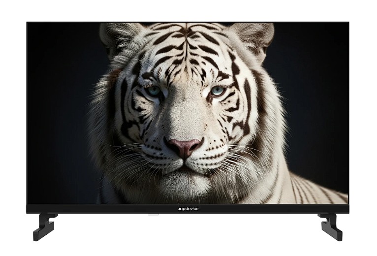 Телевизор Topdevice TDWC24BH5260V, черный