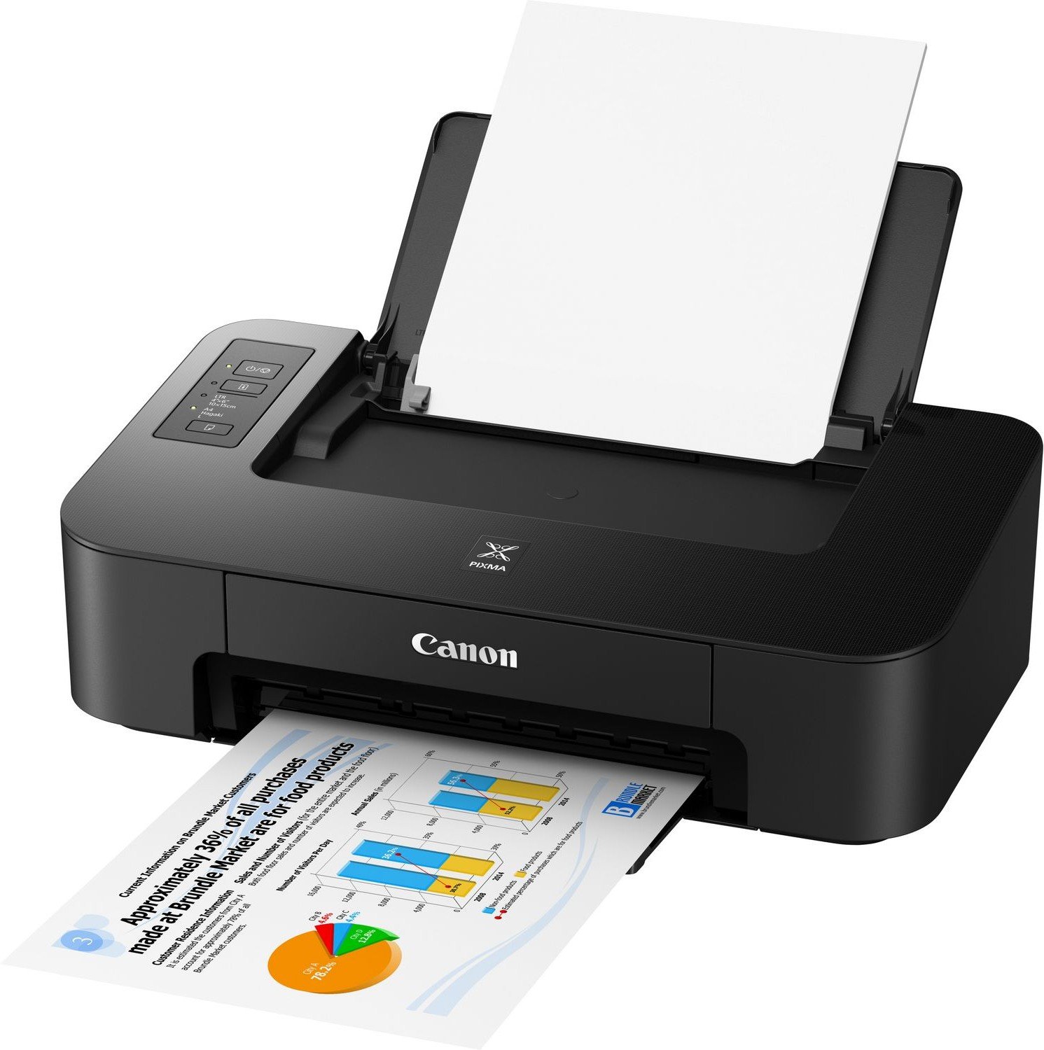 Принтер Canon PIXMA E204
